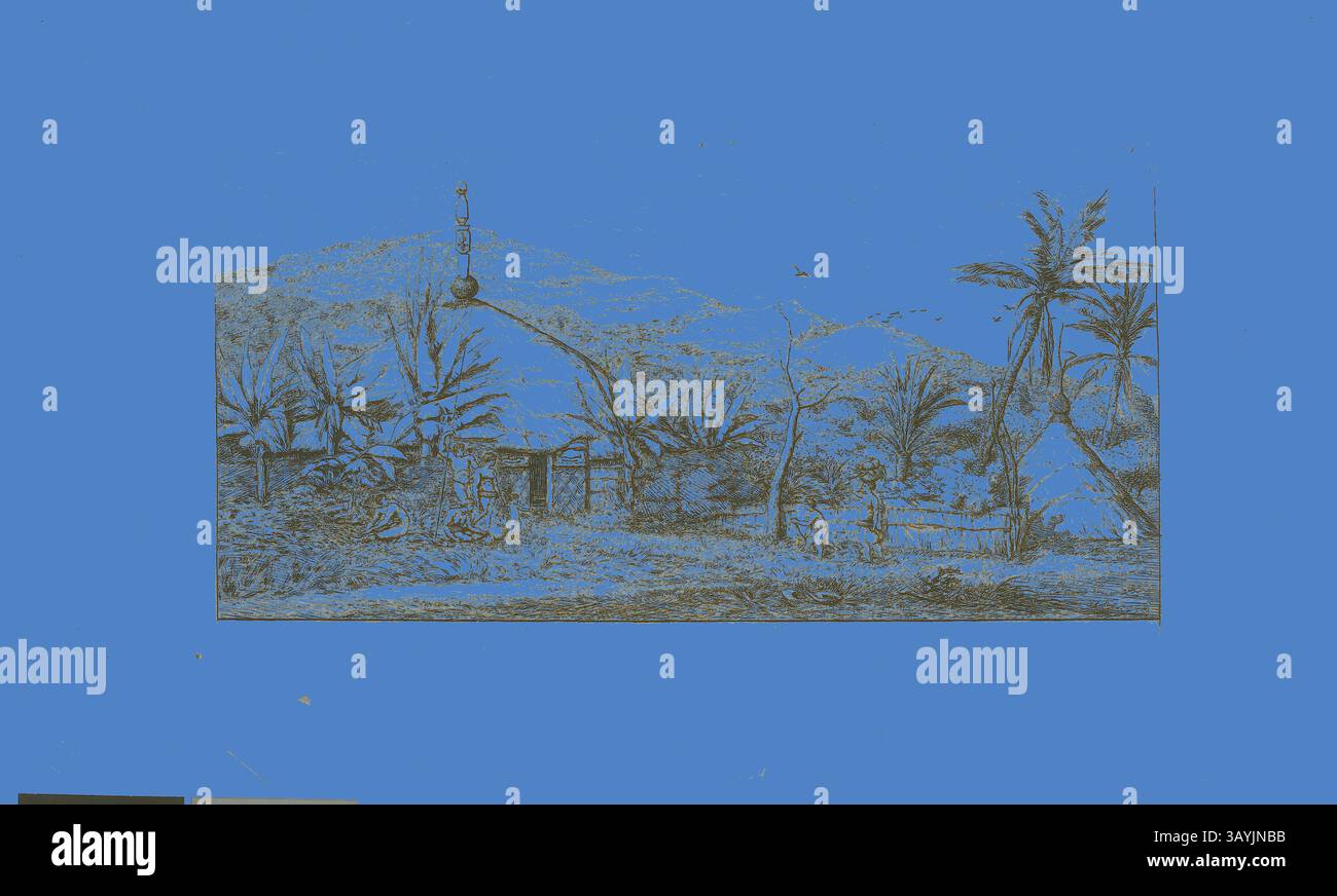 Un paysage serein avec des palmiers luxuriants et une toile de fond montagneuse lointaine, avec une structure pittoresque nichée au milieu de la végétation. La scène évoque la tranquillité et la beauté de la nature. Nouvelle-Calédonie : Grande cabane autochtone sur la route de balade à Puépo, 1845, 1863, Charles Meryon, Français, 1821-1868, France, gravure avec brunissage, grattage et point sec à l'encre noire chaude sur papier ivoire, 116 × 227 mm (image), 141 × 246 mm (plaque), 185 × 311 mm (feuille) Art classique avec une touche moderne réinventé par Artotop Banque D'Images