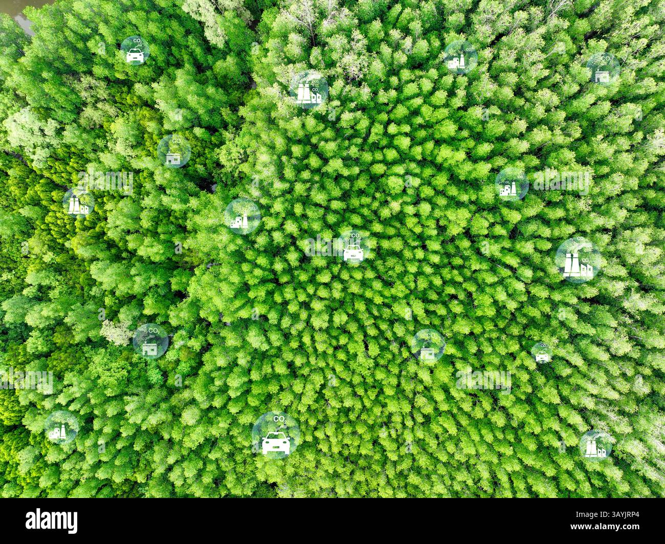 Concept de neutralité carbone. Capture par les arbres verts des émissions de carbone des usines et des transports. Puits de carbone naturels, réduction du CO2, pollution Banque D'Images