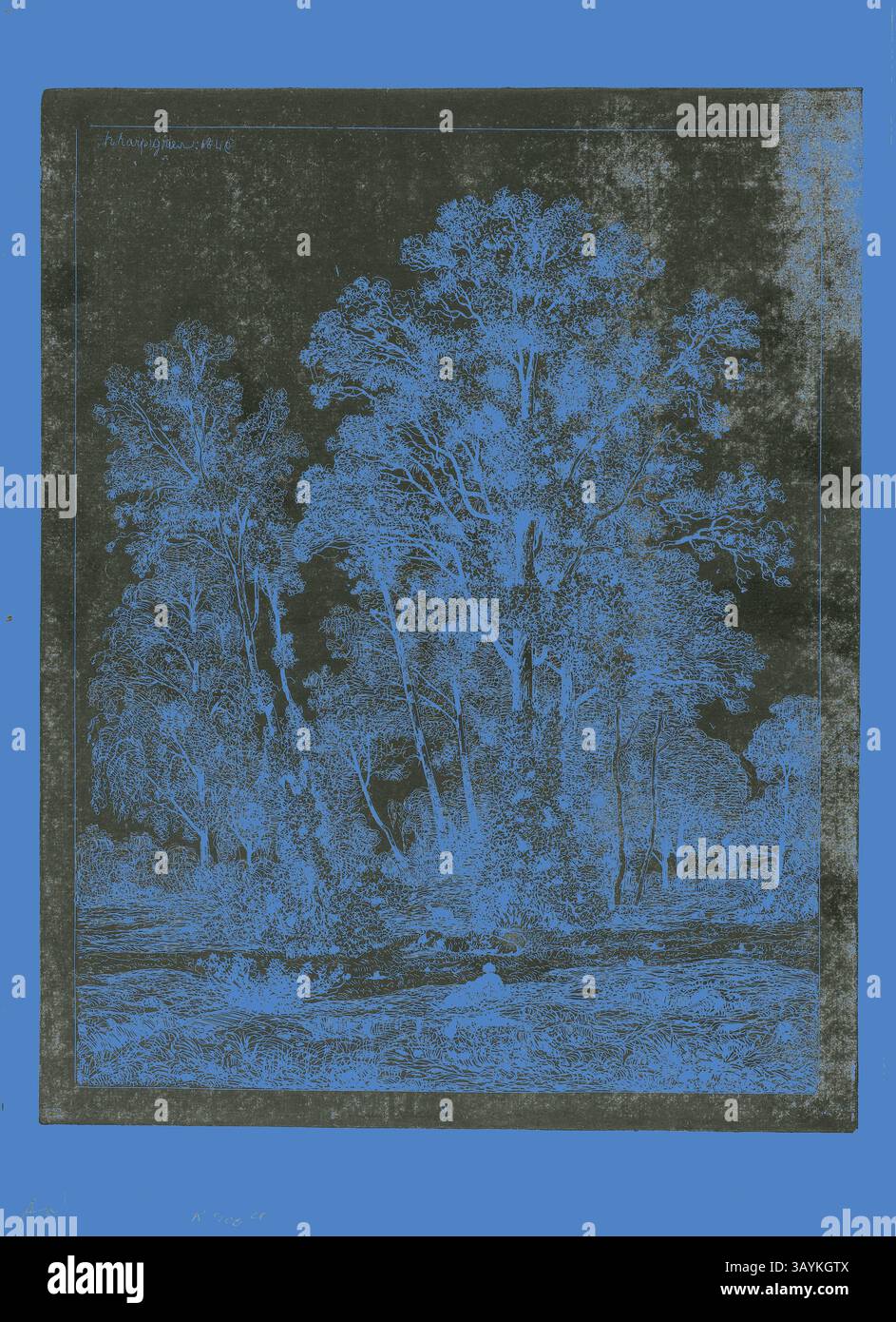 Un paysage tranquille présente de grands arbres majestueusement dressés au milieu d'un cadre naturel serein, présentant des détails complexes de feuillage et un terrain doux. Un plan d'eau calme reflète la beauté environnante, créant une atmosphère paisible. Berger au repos en clairière, 1849, Henri Joseph Harpignies, français, 1819-1916, France, gravure imprimée en relief sur papier tissé ivoire, 259 × 205 mm (plaque), 305 × 220 mm (feuille) Art classique avec une touche moderne réinventée par Artotop Banque D'Images