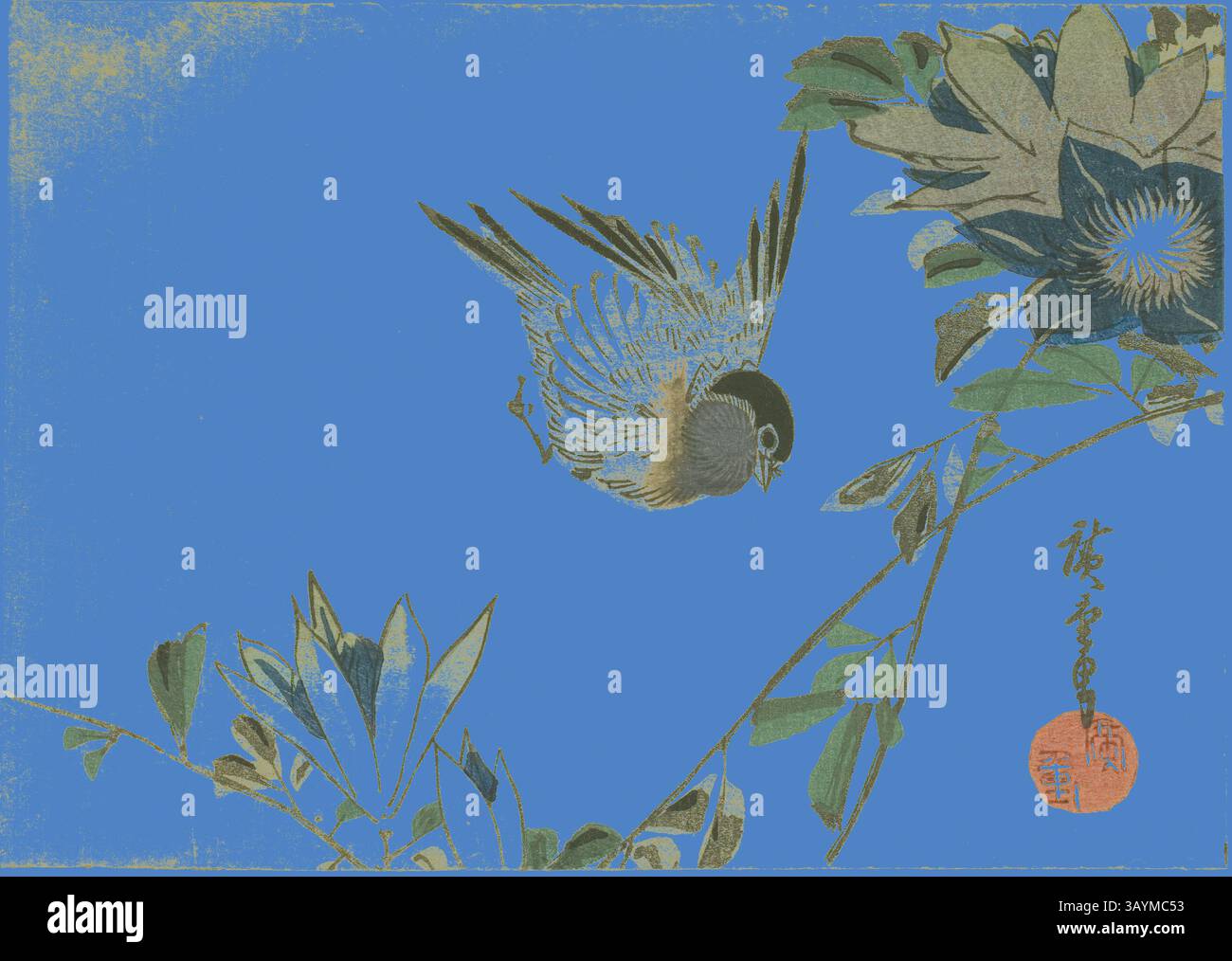 Un oiseau délicat descend gracieusement au milieu d'un feuillage et de fleurs vibrantes, sur un fond bleu saisissant, capturant un moment de beauté naturelle et d'élégance. Bullfinch et clématites, années 1830, Utagawa Hiroshige 歌川 広重, japonais, 1797-1858, Japon, impression couleur sur bois, yotsugiriban, 12,9 x 18,1 cm Art classique avec une touche moderne réinventée par Artotop Banque D'Images Un oiseau délicat descend gracieusement au milieu d'un feuillage et de fleurs vibrantes, sur un fond bleu saisissant, capturant un moment de beauté naturelle et d'élégance. Bullfinch et clématites, années 1830, Utagawa Hiroshige 歌川 広重, japonais, 1797-1858, Japon, impression couleur sur bois, yotsugiriban, 12,9 x 18,1 cm Art classique avec une touche moderne réinventée par Artotop Banque D'Images