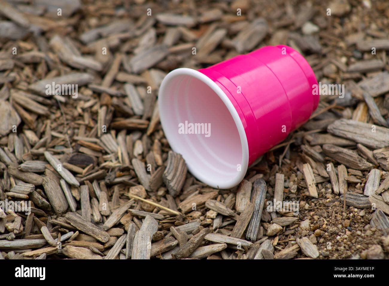 coupe solo miniature rose vif Banque D'Images