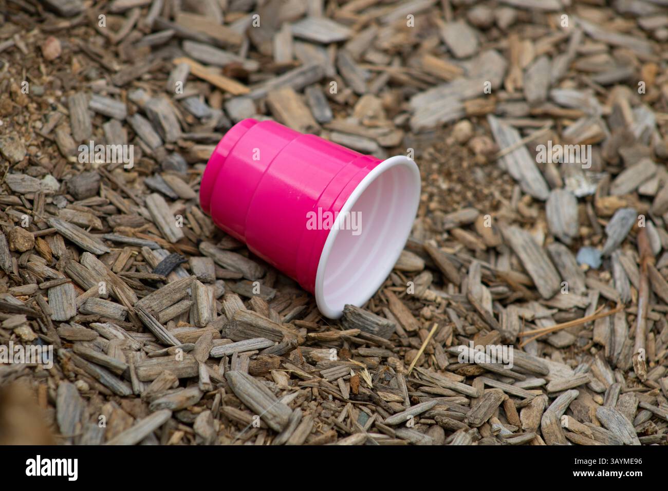 coupe solo miniature rose vif Banque D'Images