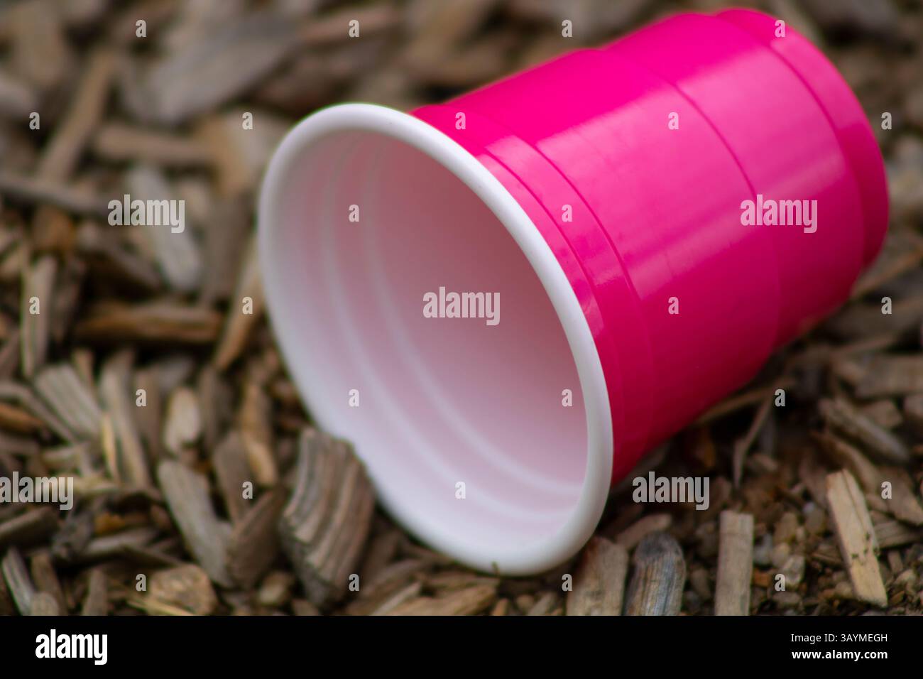 coupe solo miniature rose vif Banque D'Images