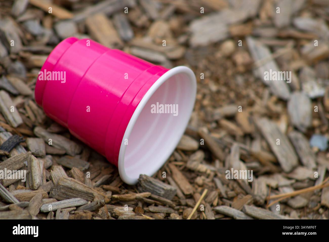 coupe solo miniature rose vif Banque D'Images