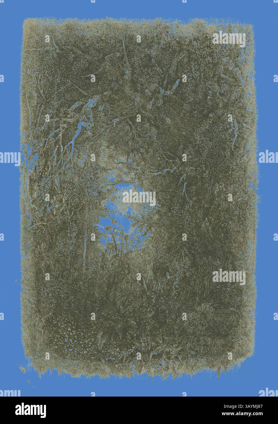 Un dense entrelacement de feuillage entoure une ouverture centrale, révélant un aperçu de bleu vif. La texture des feuilles et des branches crée une riche tapisserie de la nature, en couches et complexes. Défrichement dans la forêt, 1880, Rodolphe Bresdin, français, 1825-1885, France, gravure sur papier crème, 230 × 150 mm (image), 242 × 171 mm (feuille) Art classique avec une touche moderne réinventée par Artotop Banque D'Images