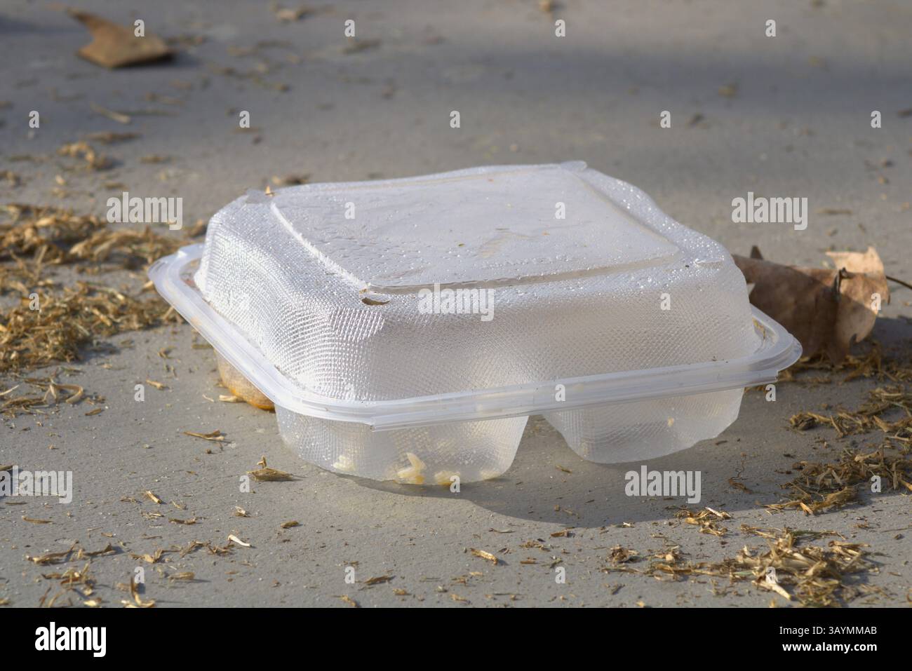 récipient en plastique transparent pour sortir les aliments Banque D'Images
