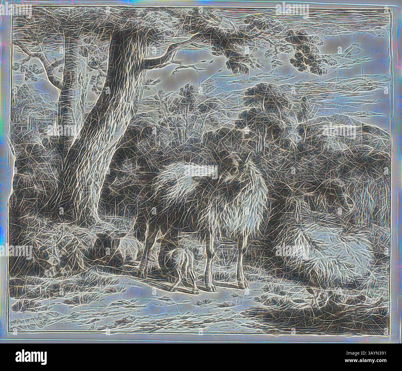 Une paire de cerfs se dresse gracieusement au milieu d'une forêt dense, entourée d'un feuillage luxuriant et de grands arbres, évoquant un sentiment de tranquillité et de connexion à la nature. Moutons debout et deux agneaux, 1685, Jan van der Meer de Jonghe II, néerlandais, 1656-1705, pays-Bas, gravure sur papier ivoire, 170 x 197 mm (plaque), 172 x 202 mm (feuille) Art classique avec une touche moderne réinventée par Artotop Banque D'Images