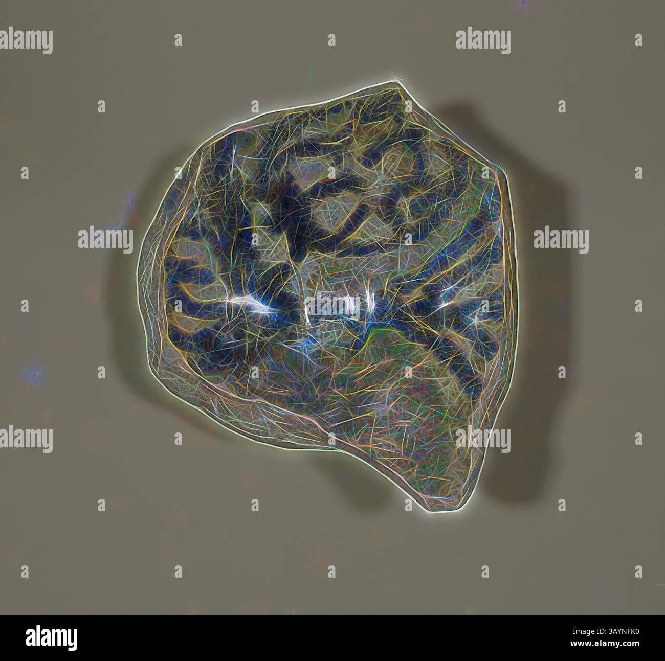 Un spécimen minéral texturé avec des motifs complexes et une interaction vibrante de couleurs qui mettent en valeur ses formations naturelles. Les formes et les lignes uniques évoquent un sentiment de complexité et de beauté dans sa structure. Fragment de bol, XIIIe/XIVe siècle, byzantin, Grèce, Serres ou Chypre, Istanbul, céramique, 8,6 × 7,6 × 3,8 cm (3 3/8 × 3 × 1 1/2 po.) Art classique avec une touche moderne réinventé par Artotop Banque D'Images