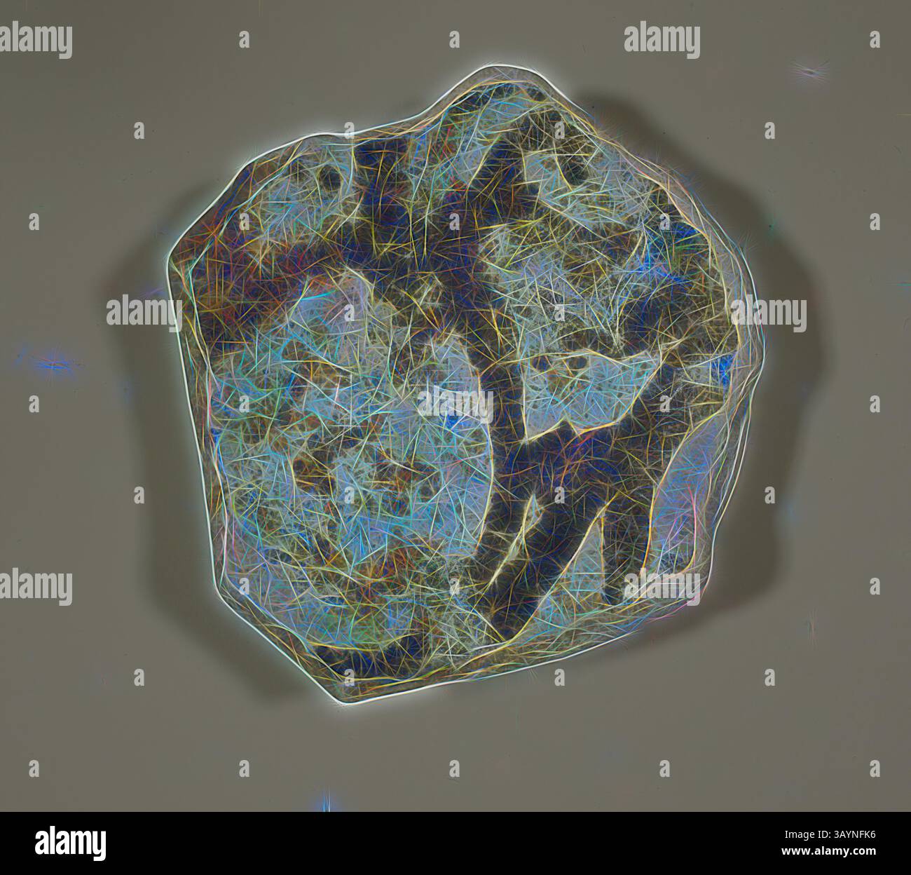Spécimen minéral de forme unique affichant des motifs complexes et une variété de couleurs, mis en évidence par un contour lumineux qui souligne sa texture et sa structure. Fragment de bol, 13ème/14ème siècle, Byzantine, Grèce, Chypre, Istanbul, céramique, 2,9 × 7,9 × 7,9 cm (1 1/8 × 3 1/8 × 3 1/8 po.) Art classique avec une touche moderne réinventé par Artotop Banque D'Images
