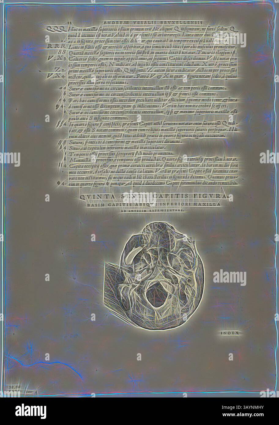 Une illustration complexe d'un crâne humain, accompagnée d'un texte détaillé dans une écriture stylisée. La composition met l'accent sur les caractéristiques anatomiques et les termes anatomiques, fusionnant l'art et la science dans un contexte historique. Feuille de humani corporis fabrica (crâne), planche 100 de gravures sur bois de livres du XVIe siècle, 1543, Assemblée en portfolio 1937, attribuée à Jan Stephan van Calcar (pays-Bas, 1499-1546/50), Assemblée par Max Geisberg (Suisse, 1875-1943), pays-Bas, gravure sur bois, 111 x 109 mm (image, recto), 324 x 196 mm (image/texte, recto), 79 x 103 mm (image, verso), 325 x 193 mm Banque D'Images