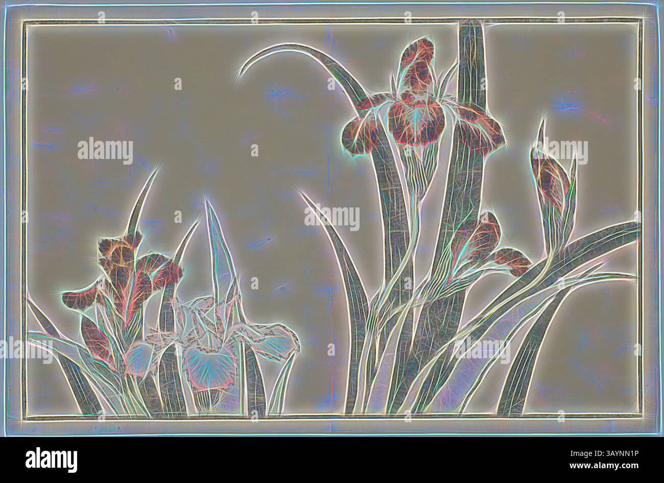Un arrangement délicat d'iris met en valeur leurs pétales complexes et leurs formes élégantes, entourées d'une bordure légèrement éclairée qui rehausse leur beauté saisissante. Iris, tiré du livre d'images de peintures réalistes de Hokusai (Hokusai shashin gafu), c. 1814, Katsushika Hokusai 葛飾 北斎, japonais, 1760-1849, Japon, tirage sur bois couleur (feuille d'album), 22,3 x 34 cm (8 3/4 x 13 3/8 po.) Art classique avec une touche moderne réinventé par Artotop Banque D'Images