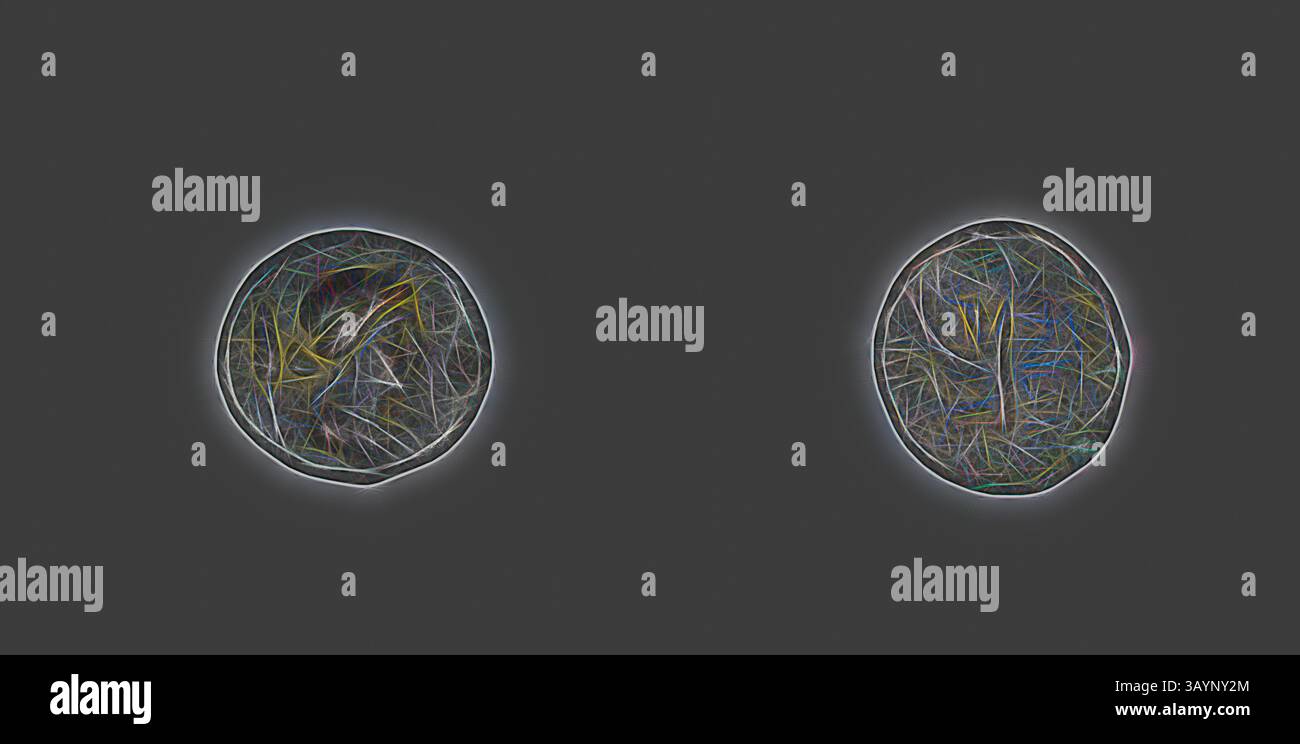 Deux orbes abstraits remplis de lignes et de textures complexes et colorées, placés sur un fond sombre. Les orbes semblent pulser d'énergie, mettant en valeur un mélange de teintes vibrantes et de motifs délicats qui créent une sensation de profondeur et de mouvement. Hexas (coin) représentant la déesse Déméter, après 241 av. J.-C., grec, Grèce, Bronze, diam. 1,7 cm, 3,21 g Art classique avec une touche moderne réinventée par Artotop Banque D'Images Deux orbes abstraits remplis de lignes et de textures complexes et colorées, placés sur un fond sombre. Les orbes semblent pulser d'énergie, mettant en valeur un mélange de teintes vibrantes et de motifs délicats qui créent une sensation de profondeur et de mouvement. Hexas (coin) représentant la déesse Déméter, après 241 av. J.-C., grec, Grèce, Bronze, diam. 1,7 cm, 3,21 g Art classique avec une touche moderne réinventée par Artotop Banque D'Images