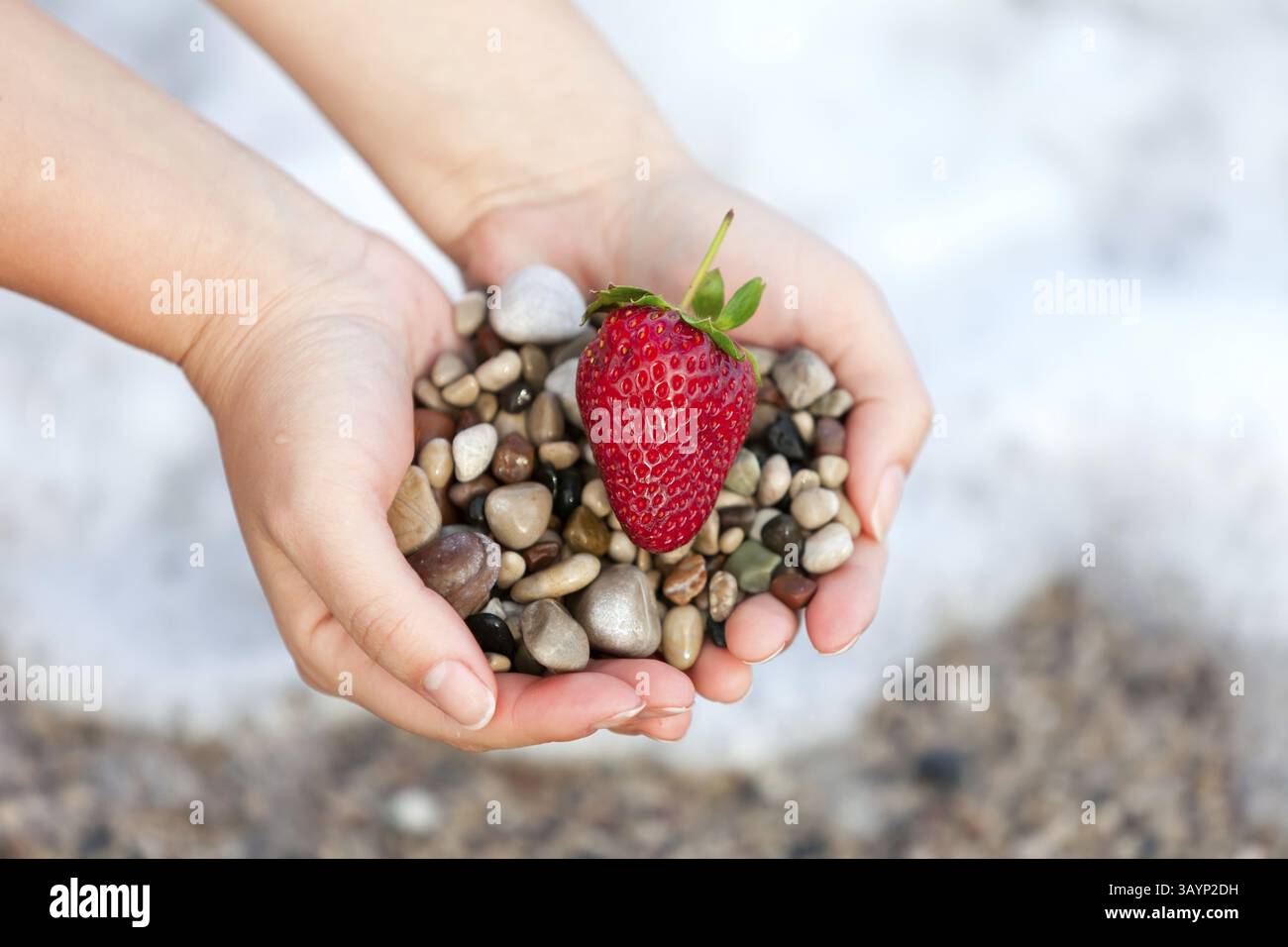 Fraise rouge et des pierres sur les mains femme à la plage Banque D'Images