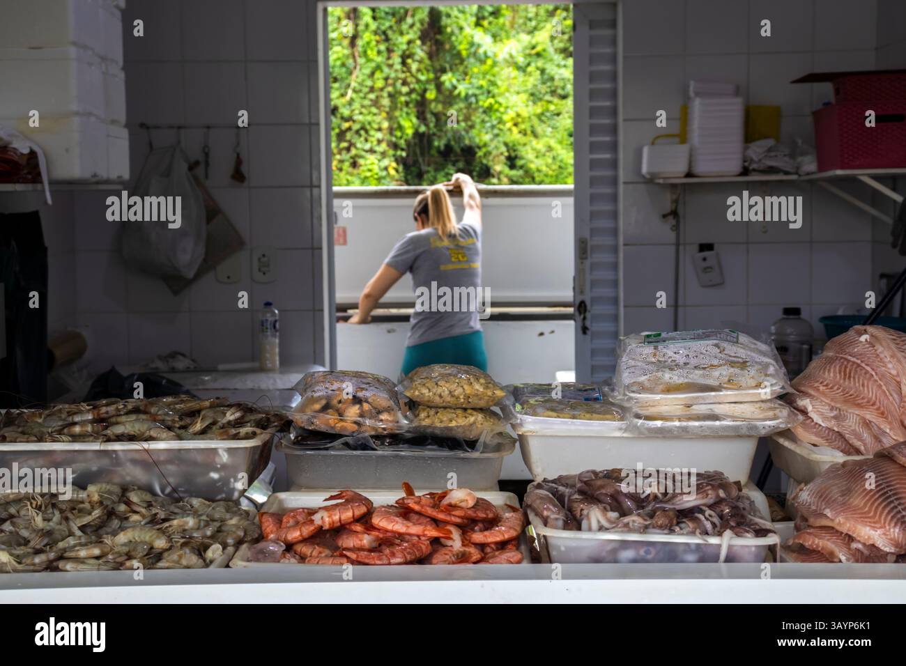 Peruibe, Sao Paulo, Brésil. 17 janvier 2025., scène du marché aux poissons : vendeur organisant l'exposition de fruits de mer frais. Variété de poissons, crevettes, calmars. Commer local Banque D'Images