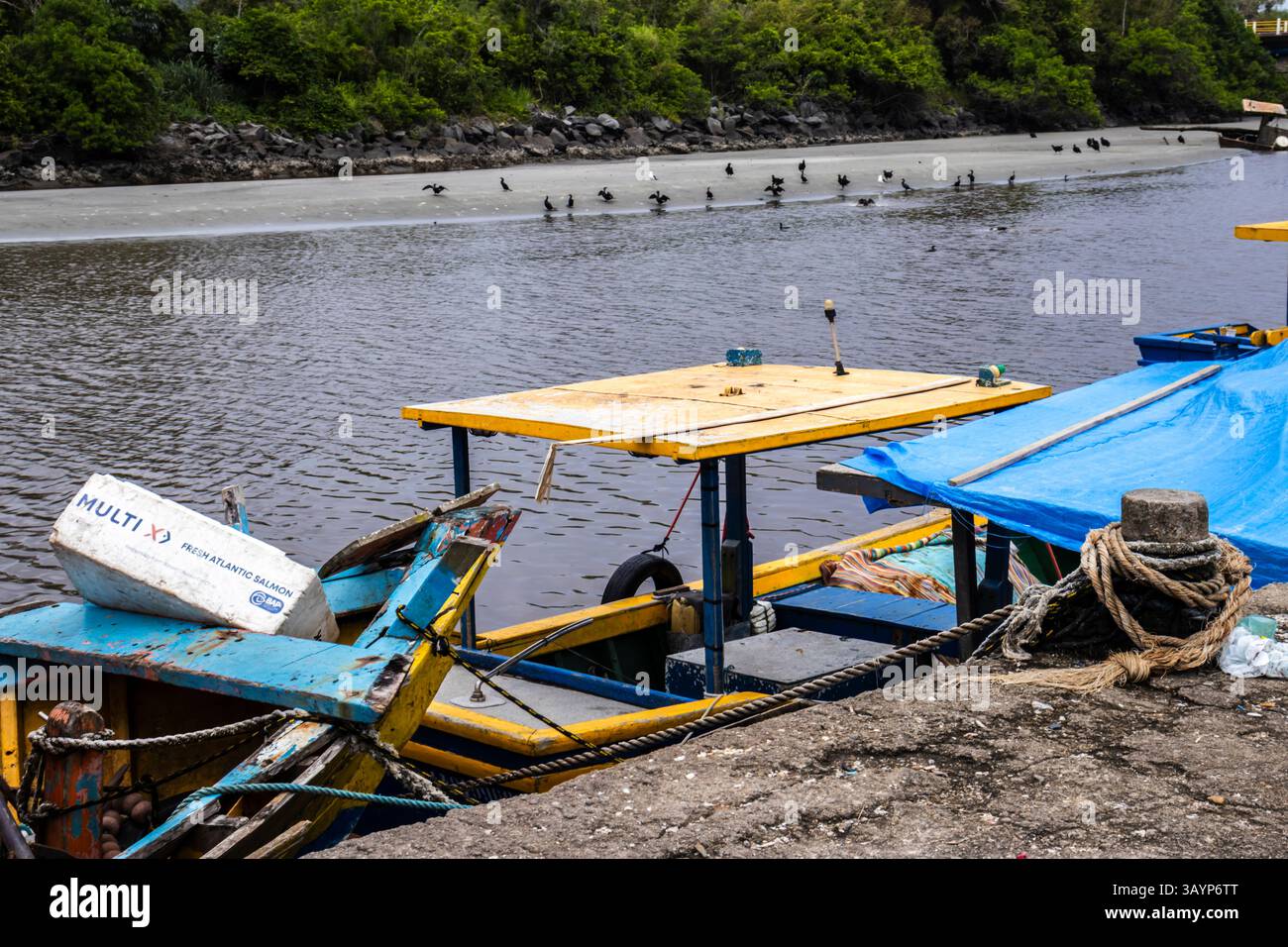 Peruibe, Sao Paulo, 17 janvier 2025. Bateaux de pêche colorés à Peruibe, Brésil. Une scène vibrante de la vie côtière, de la tradition et de la forêt atlantique Banque D'Images