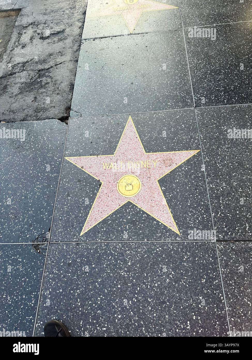 Los Angeles, CA, USA - 23 septembre 2024 : le Hollywood Walk of Fame, Walt Disney, photo verticale.. Photo de haute qualité Banque D'Images