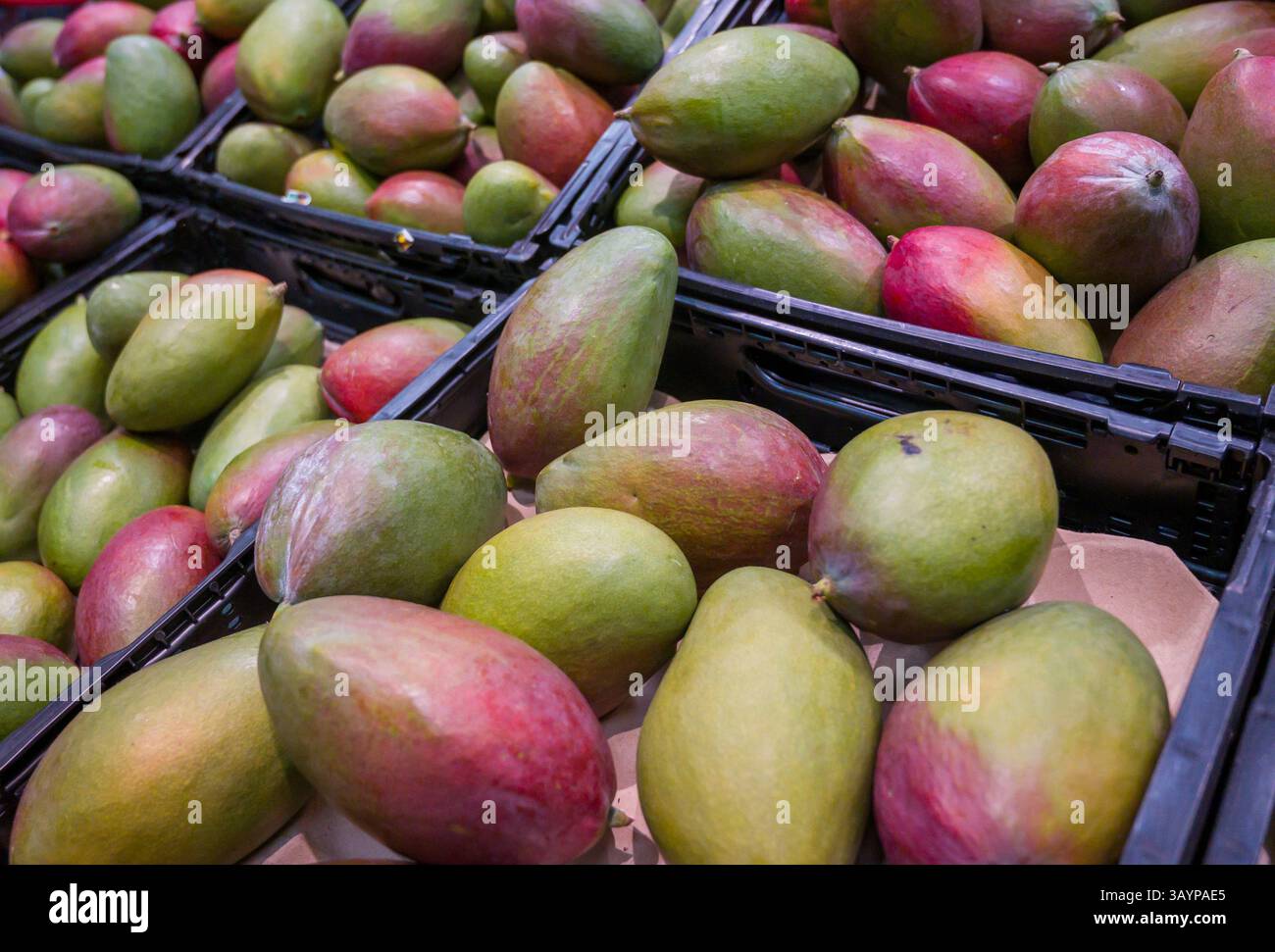 Une pile de mangues dans un marché Banque D'Images