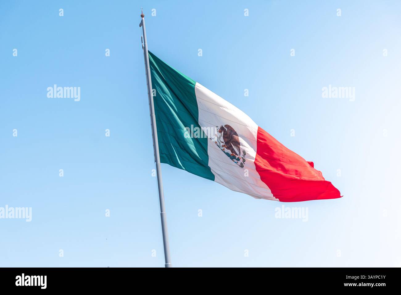 CDMX Mexico City drapeau mexicain à El Zocalo dans une journée ensoleillée avec un ciel bleu.Rouge, blanc et vert sont les couleurs, avec un aigle mangeant un serpent sur un cactus Banque D'Images