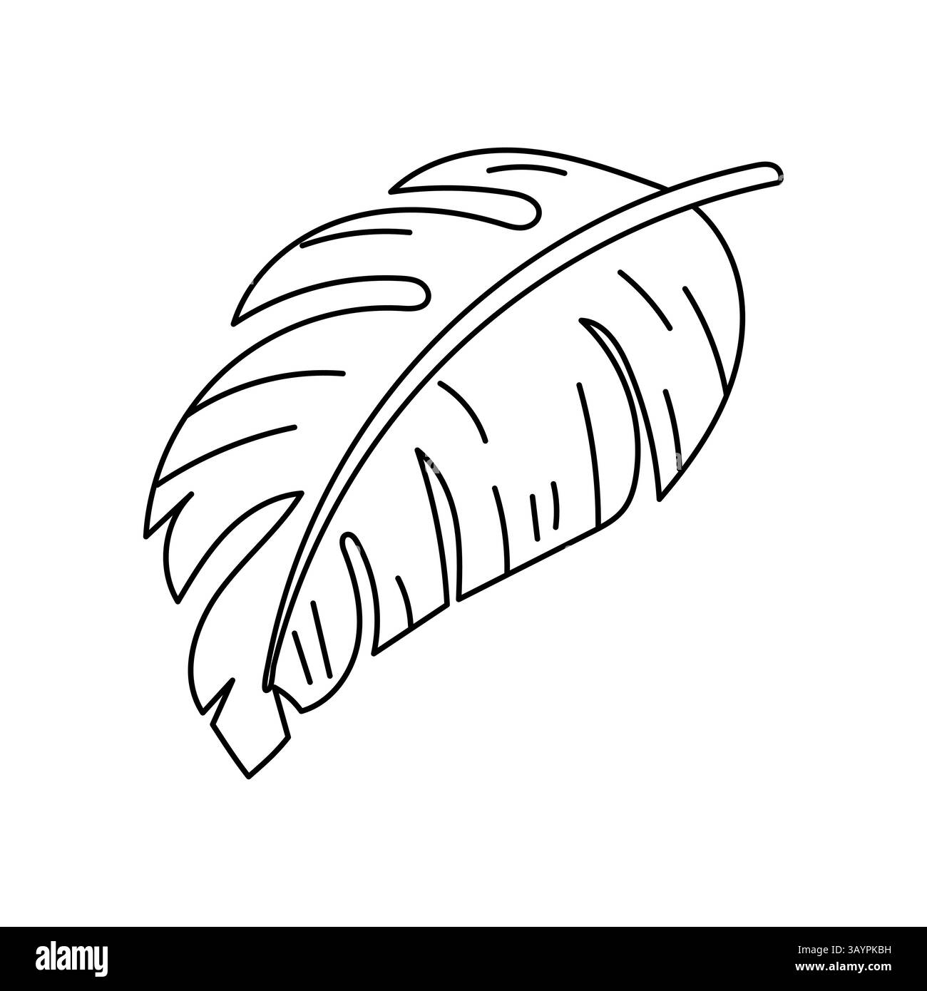 Contour monochrome de feuille tropicale pour la coloration. Idéal pour les livres pour enfants, les éléments de motif et les thèmes de la nature de l'été. Illustration de Vecteur