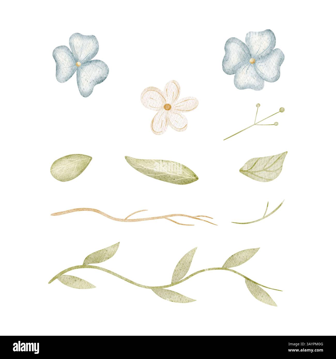 Illustration aquarelle fleurs de champ sauvages bleu, blanc avec des feuilles. Définissez les isolats dessinés à la main dans le style de dessin animé pour les cartes de conception, les affiches, les invitations Banque D'Images