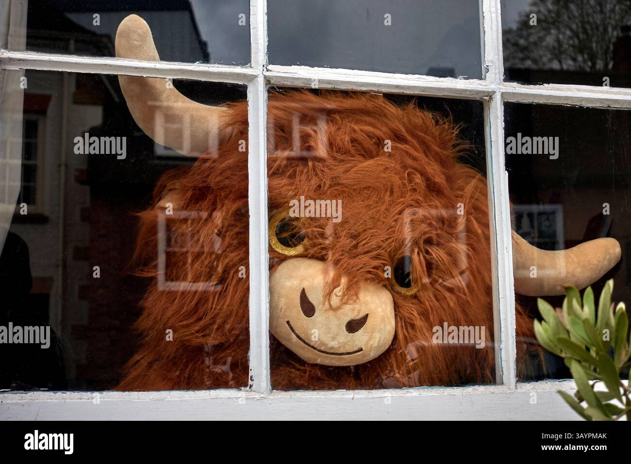 Jouet mou dans une fenêtre de maison. Angleterre, Royaume-Uni Banque D'Images