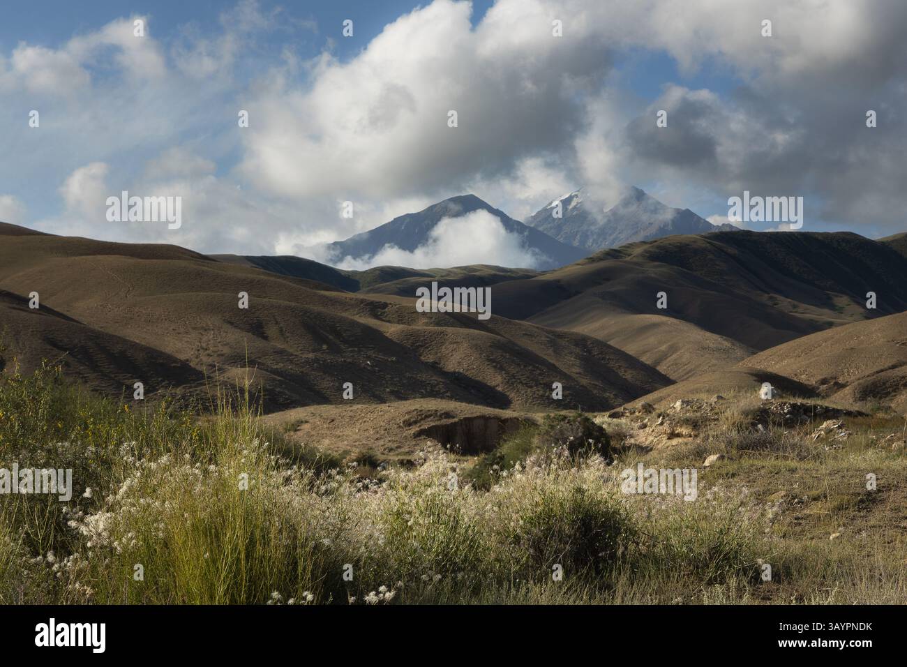 Paysage aride pittoresque, collines ondulantes et montagnes enneigées de la région reculée au Kirghizistan Banque D'Images