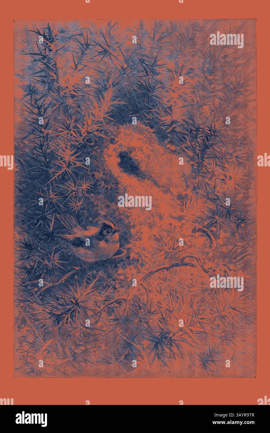 Un petit oiseau repose au milieu d'un feuillage luxuriant, entouré de motifs complexes de feuilles et de brindilles, créant une atmosphère sereine et naturelle. Dans l'art Ecstasy Classic de Music avec une touche moderne réinventée par Artotop Banque D'Images