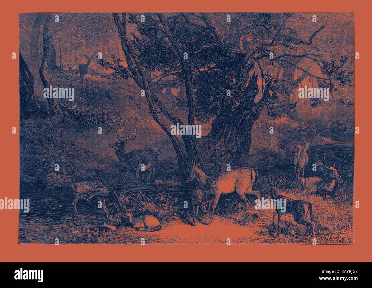 Une scène boisée sereine avec divers cerfs rassemblés autour d'une source d'eau tranquille, entouré d'arbres luxuriants et d'un feuillage doux, évoquant un sentiment de calme dans la nature. Les mois : juillet Art classique avec une touche moderne réinventée par Artotop Banque D'Images