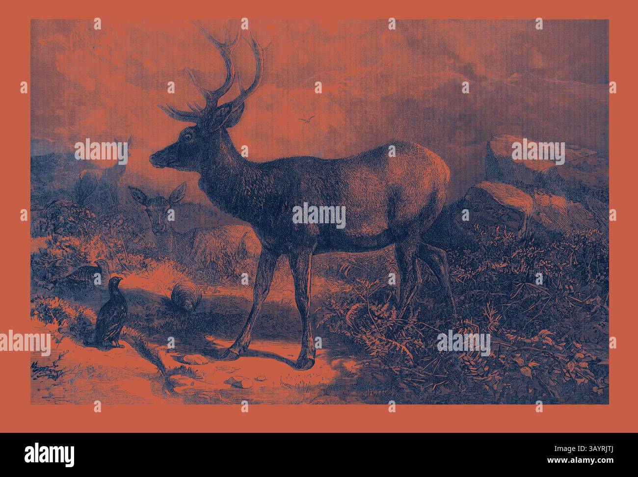 Un cerf majestueux se dresse gracieusement dans un cadre naturel, entouré de feuillage et de formations rocheuses lointaines, tandis que de petits oiseaux sont visibles à proximité, contribuant à une scène sauvage sereine. Les mois : août Art classique avec une touche moderne réinventée par Artotop Banque D'Images