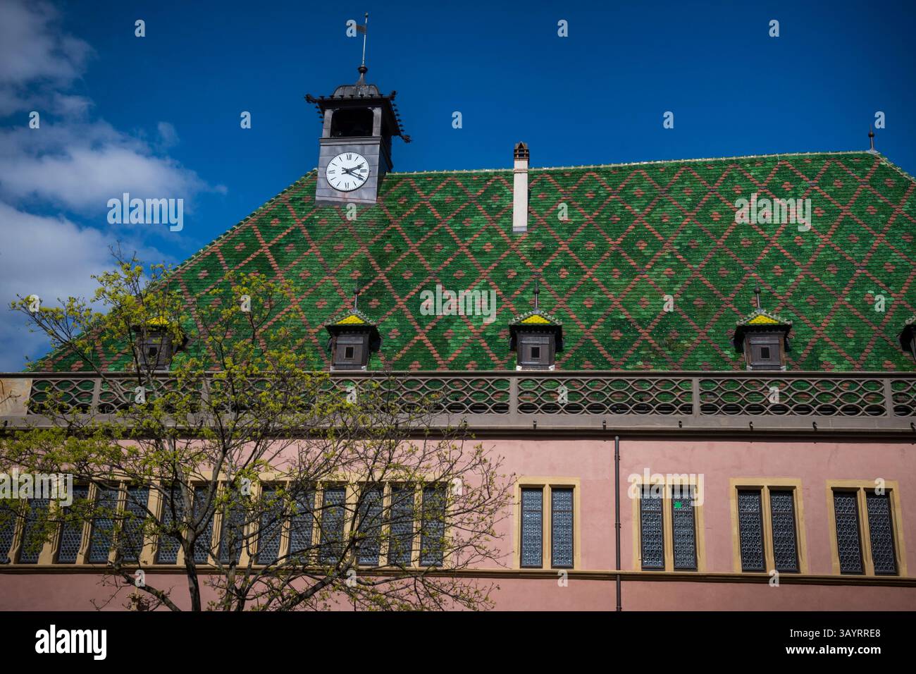 Le toit distinctif de l'église St Martins à Colmar, Alsace Banque D'Images