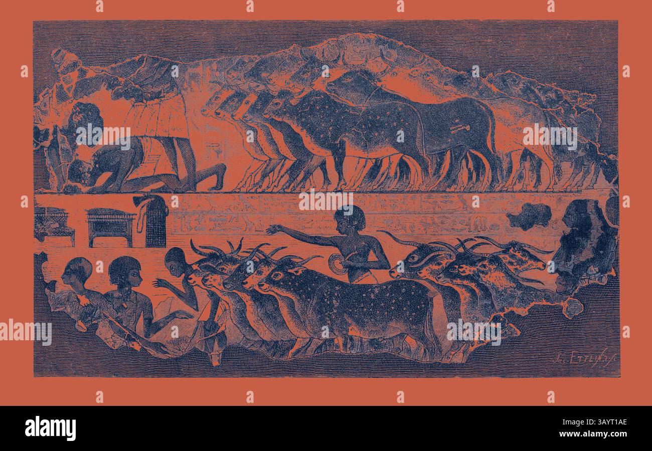 Scène ancienne représentant une procession d'animaux, illustrant probablement un événement culturel ou rituel, aux côtés de personnages engagés dans des activités liées à l'élevage ou à l'agriculture, entourée de paysages stylisés et de paysages montagneux. TROUPEAU DE BOVINS APPORTÉ DEVANT LEUR PROPRIÉTAIRE, d'une tombe égyptienne, en Egypte, gravure 1879 Art classique avec une touche moderne réinventée par Artotop Banque D'Images