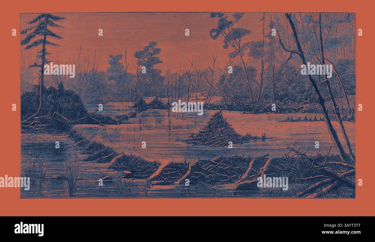 Un paysage serein avec un plan d'eau calme entouré d'arbres et de végétation, avec un barrage rustique fait de bûches partiellement visibles. La scène transmet un sentiment de tranquillité et la beauté d'un cadre naturel. L'introduction de Beavers en Angleterre, un Beaver Lodge and Dam, art classique britannique avec une touche moderne réinventée par Artotop Banque D'Images