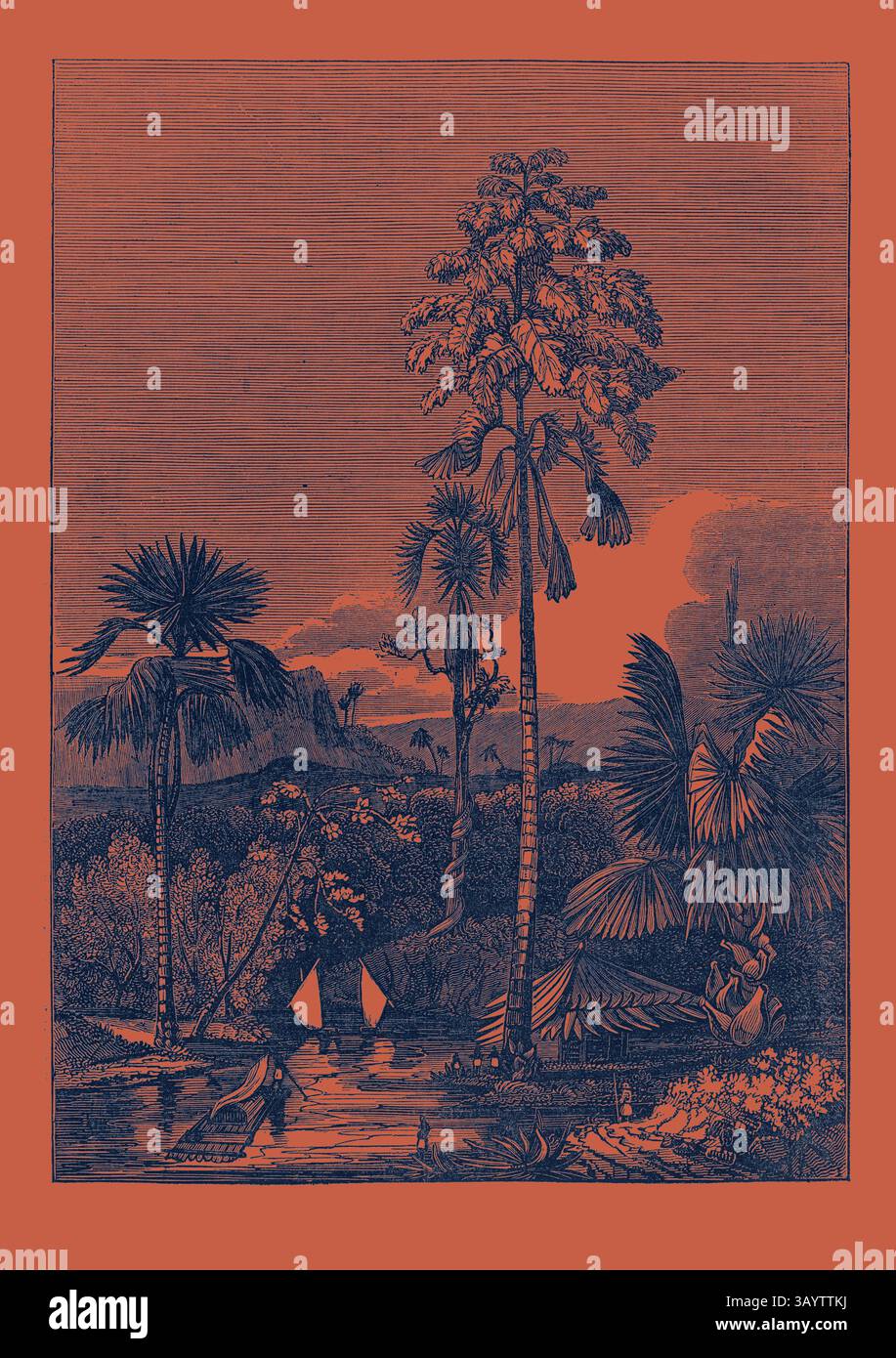 Une scène fluviale tranquille ornée d'un feuillage tropical luxuriant, avec de grands palmiers et des plantes exotiques. Au premier plan, de petits voiliers glissent doucement sur l'eau, encadrés par un riche paysage de montagnes et de nuages en arrière-plan. LE PALMIER TALAPAT Classic art avec une touche moderne réinventée par Artotop Banque D'Images