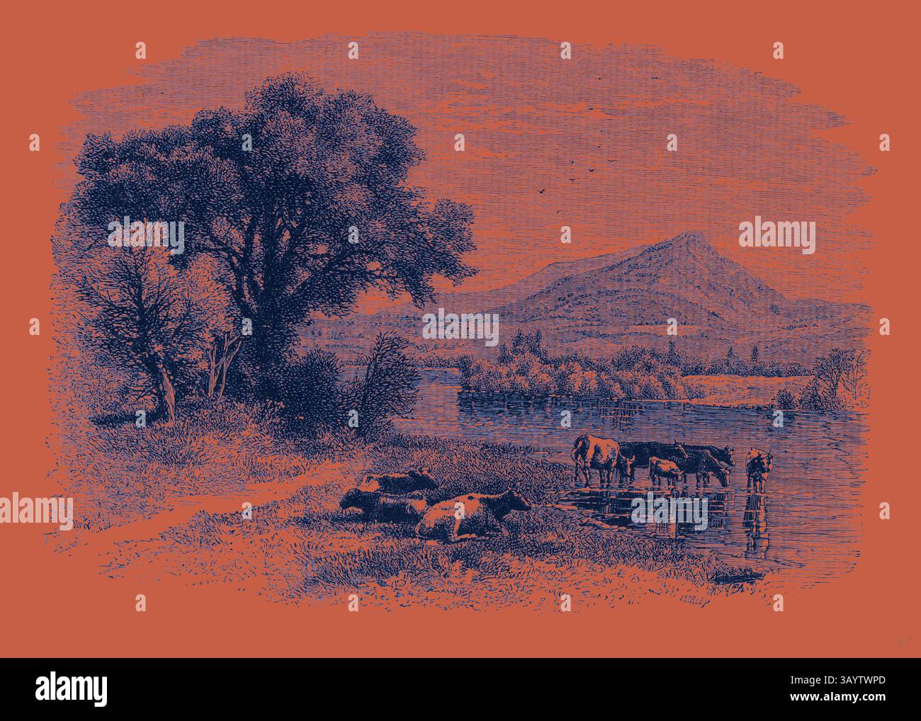 Un paysage serein avec des vaches en pâturage près d'une rivière tranquille, avec une montagne proéminente en arrière-plan. Des arbres luxuriants bordent la rive, créant une scène rurale paisible. Hillock United States of America Art classique avec une touche moderne réinventée par Artotop Banque D'Images