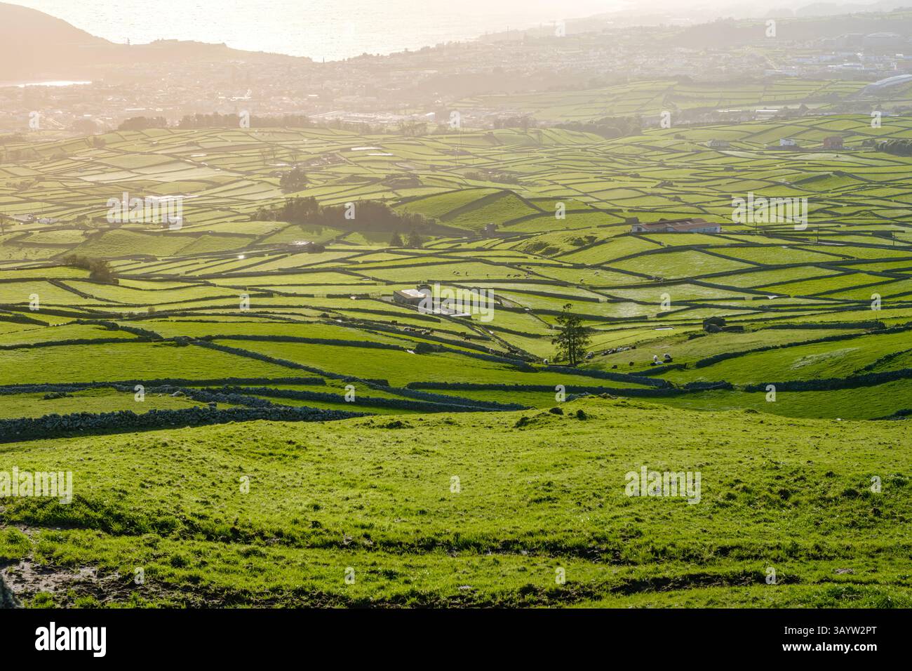 Golden Hour illumine l'envoûtant patchwork de pâturages aux murs de pierre dans le paysage verdoyant de la vallée. Vue aérienne des champs agricoles traditionnels dans Banque D'Images