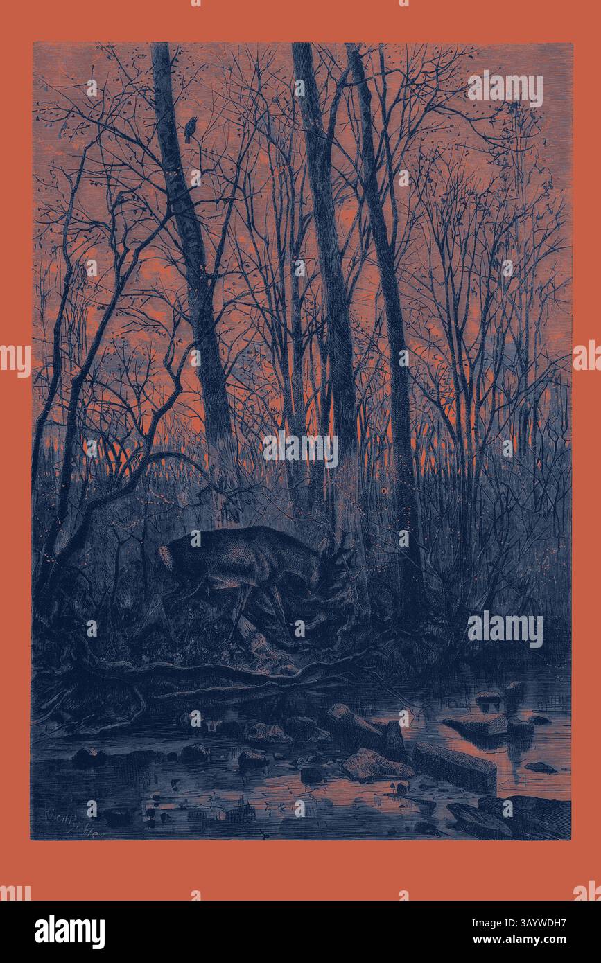 Une scène de forêt sereine présente un cerf debout près d'un plan d'eau réfléchissant, entouré de grands arbres et de branches complexes. Le cadre évoque un sentiment de calme et de tranquillité, mis en évidence par l'interaction de la lumière et de l'ombre. Scène forestière au printemps, gravure 1882 Art classique avec une touche moderne réinventée par Artotop Banque D'Images