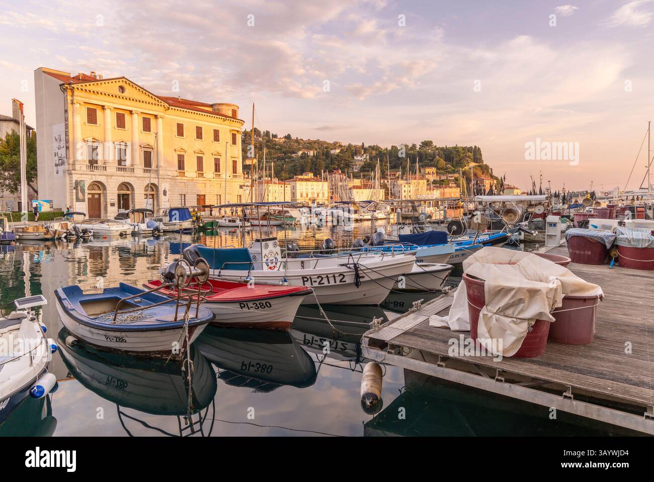 Piran, Slovénie - 29 août 2024 : paysage urbain de Piran avec vue sur le port pendant l'heure dorée à la péninsule d'Istrie le long de la mer Adriatique en Slovénie Banque D'Images