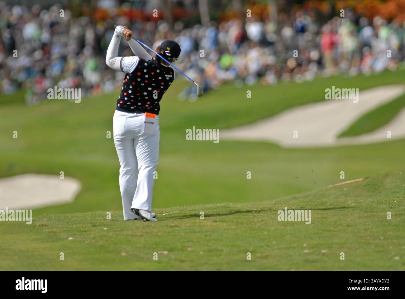 Novembre 23,2008 Ji-Yai Shin en action trou 9 lors de la dernière manche du Championnat ADT de la LPGA au Trump International Golf Club à West Palm Beach, FL. (Crédit image : © Lou Novick/Cal Sport Media) Banque D'Images