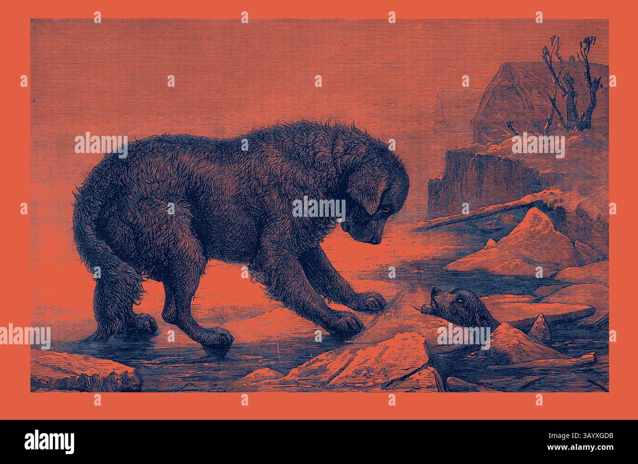 Un chien curieux jette un œil attentif à une loutre ludique, tous deux perchés sur un terrain glacé, laissant entendre un moment de découverte et de connexion dans un cadre sauvage frais. Erebus et Terror Art classique avec une touche moderne réinventée par Artotop Banque D'Images