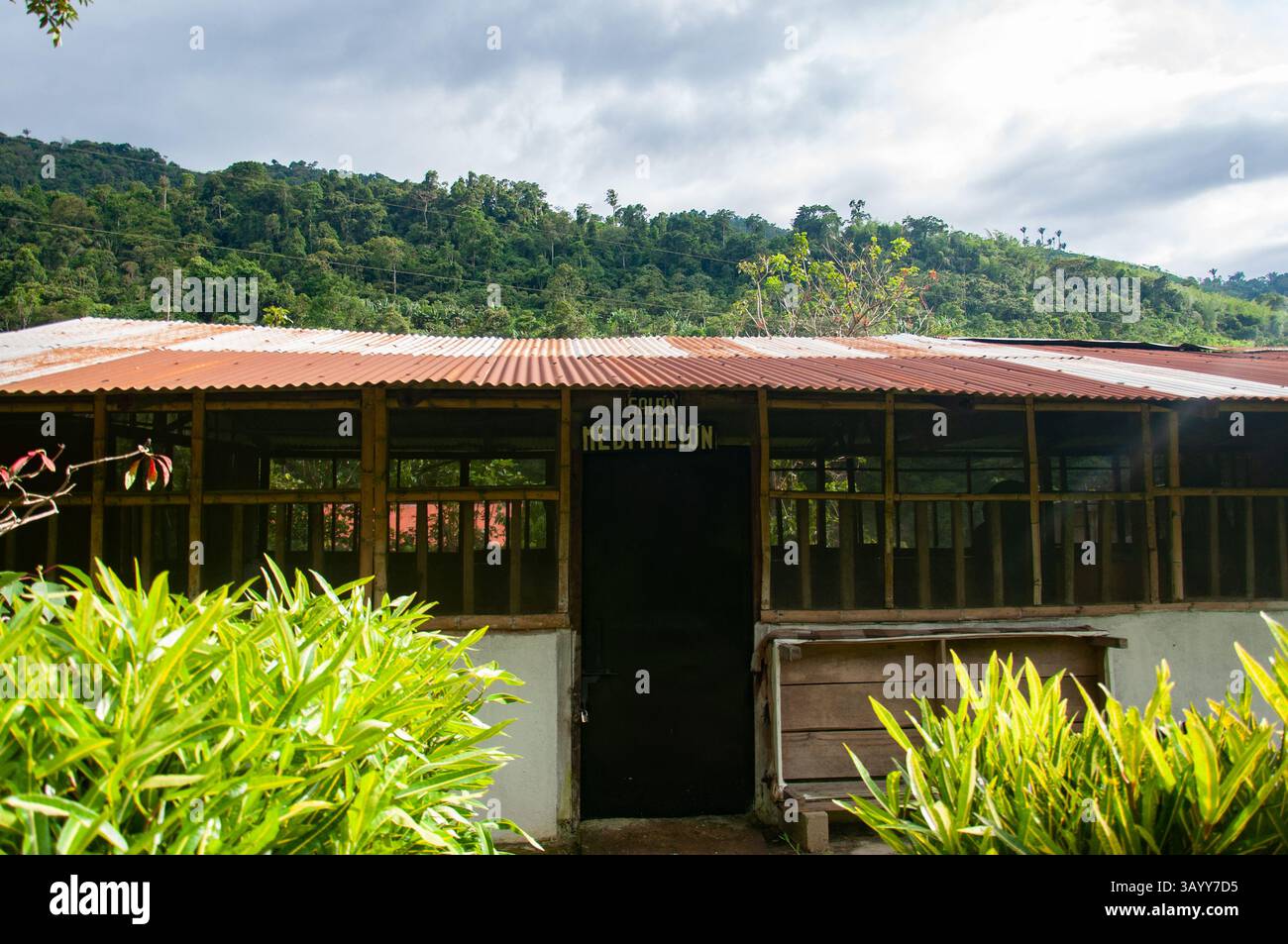 Salle de méditation dans la forêt amazonienne favorisant la pleine conscience et la tranquillité Banque D'Images