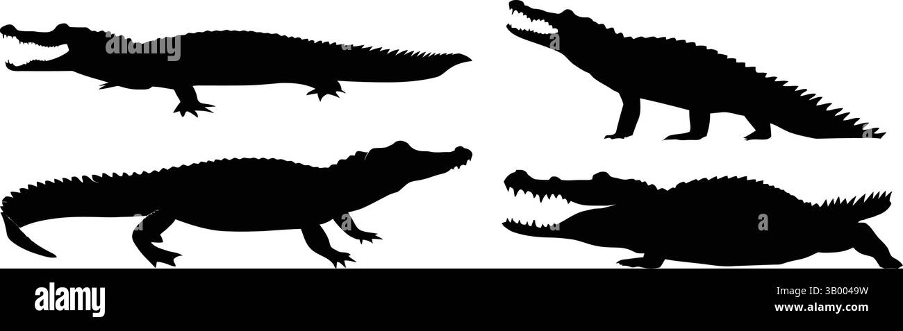 Quatre silhouettes de crocodile dans diverses poses avec la bouche ouverte et les dents visibles sur un fond blanc Illustration de Vecteur