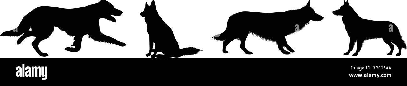 Quatre silhouettes de chien dans diverses poses sur un fond blanc dans une disposition horizontale Illustration de Vecteur