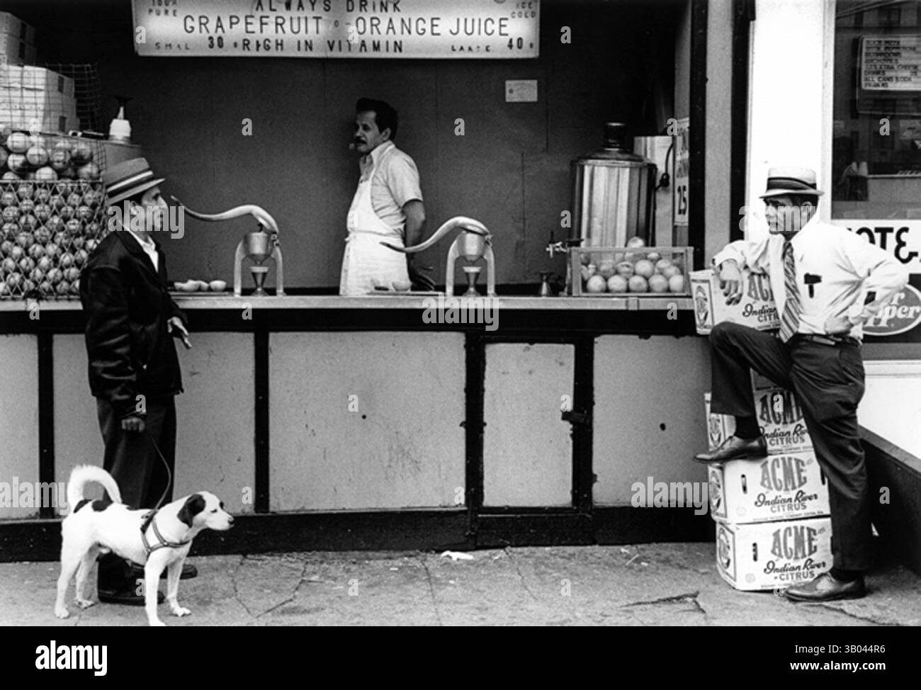 01 janv. 1970 - New York, New York, États-Unis - (Archive photo des années 1960 à 1970 Date exacte inconnue) riche en vitamine. (Crédit image : © Douglas Kent Hall/ZUMA Press) Banque D'Images