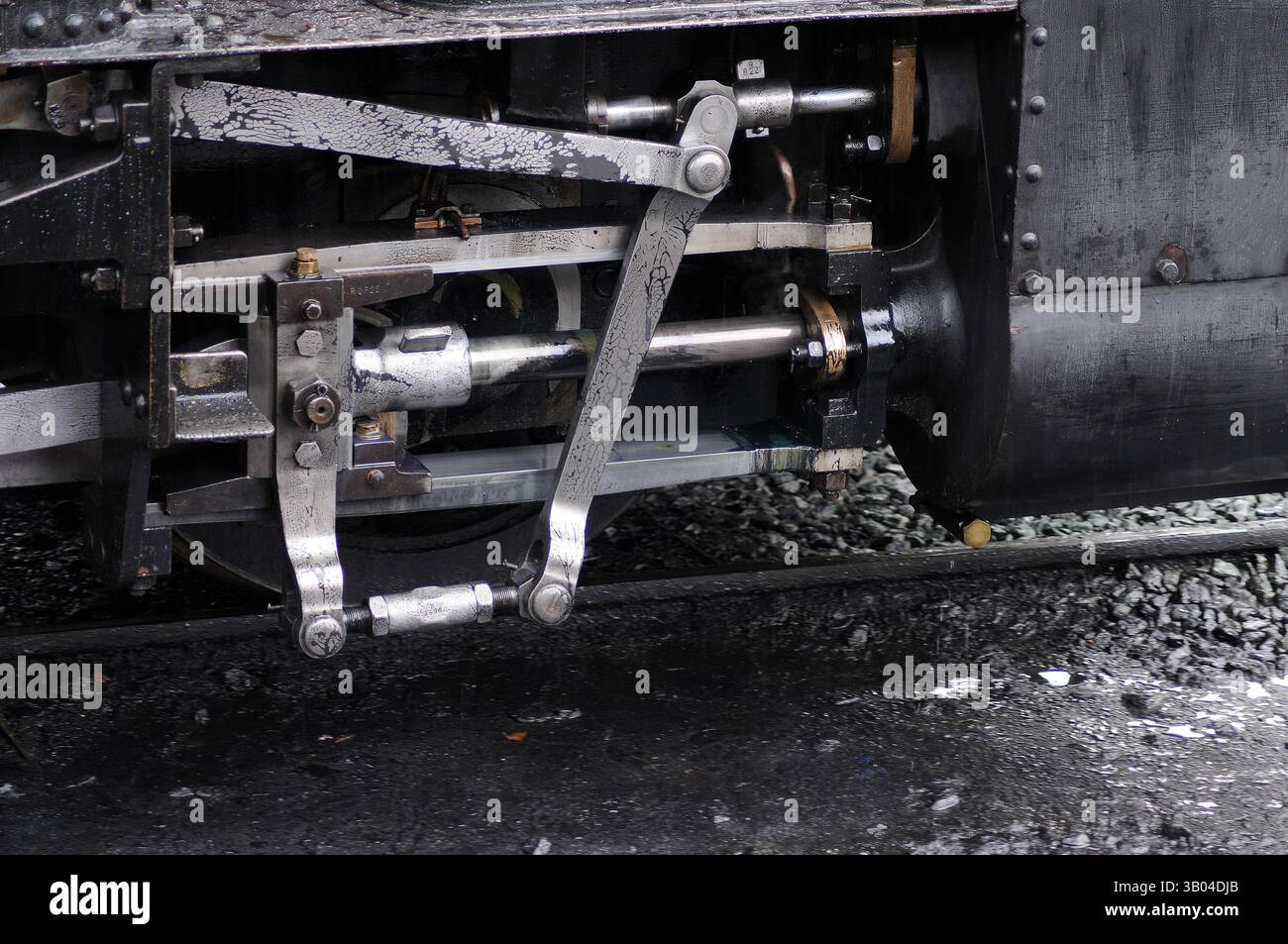 'The Earl' à Llanfair Careinion. Banque D'Images