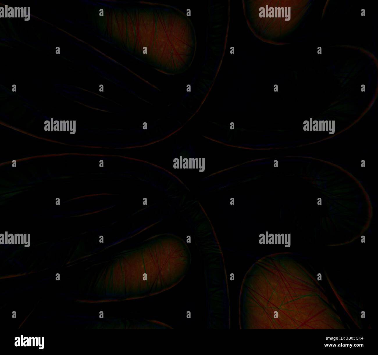 Un motif complexe de lignes courbes et de formes crée un design abstrait captivant, attirant le regard dans ses profondeurs avec des nuances contrastées., Un design circulaire avec des motifs complexes et tourbillonnants qui évoquent une sensation de profondeur et de complexité sur un fond clair. Art classique avec une touche moderne réinventé par Artotop, ornement grec transformé et ornement étrusque, art classique avec une touche moderne réinventé par Artotop Banque D'Images