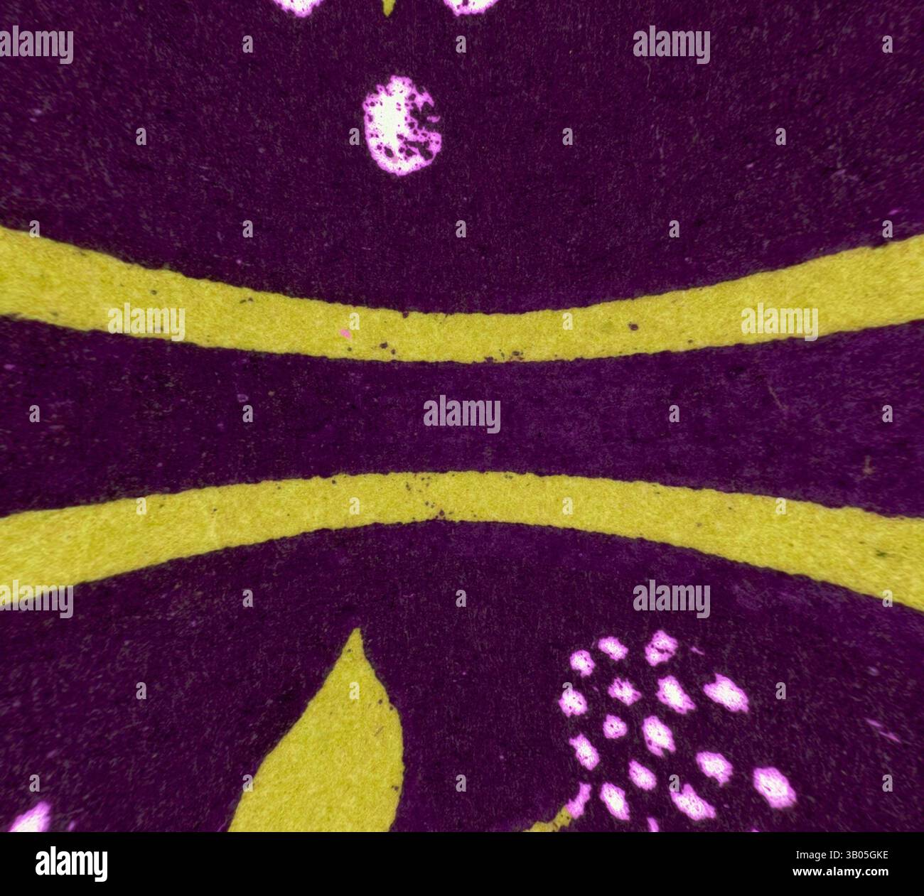 Son design complexe est orné d'éléments violets audacieux et jaunes vifs pour un contraste saisissant. Les motifs comprennent des formes organiques et des accents en pointillés, suggérant un thème floral ou abstrait., Un design circulaire avec des motifs complexes de feuilles et de fleurs dans des teintes violettes et vertes vibrantes, créant un motif visuellement frappant et artistique. Art classique avec une touche moderne réinventé par Artotop, ornement grec transformé et ornement étrusque, art classique avec une touche moderne réinventé par Artotop Banque D'Images