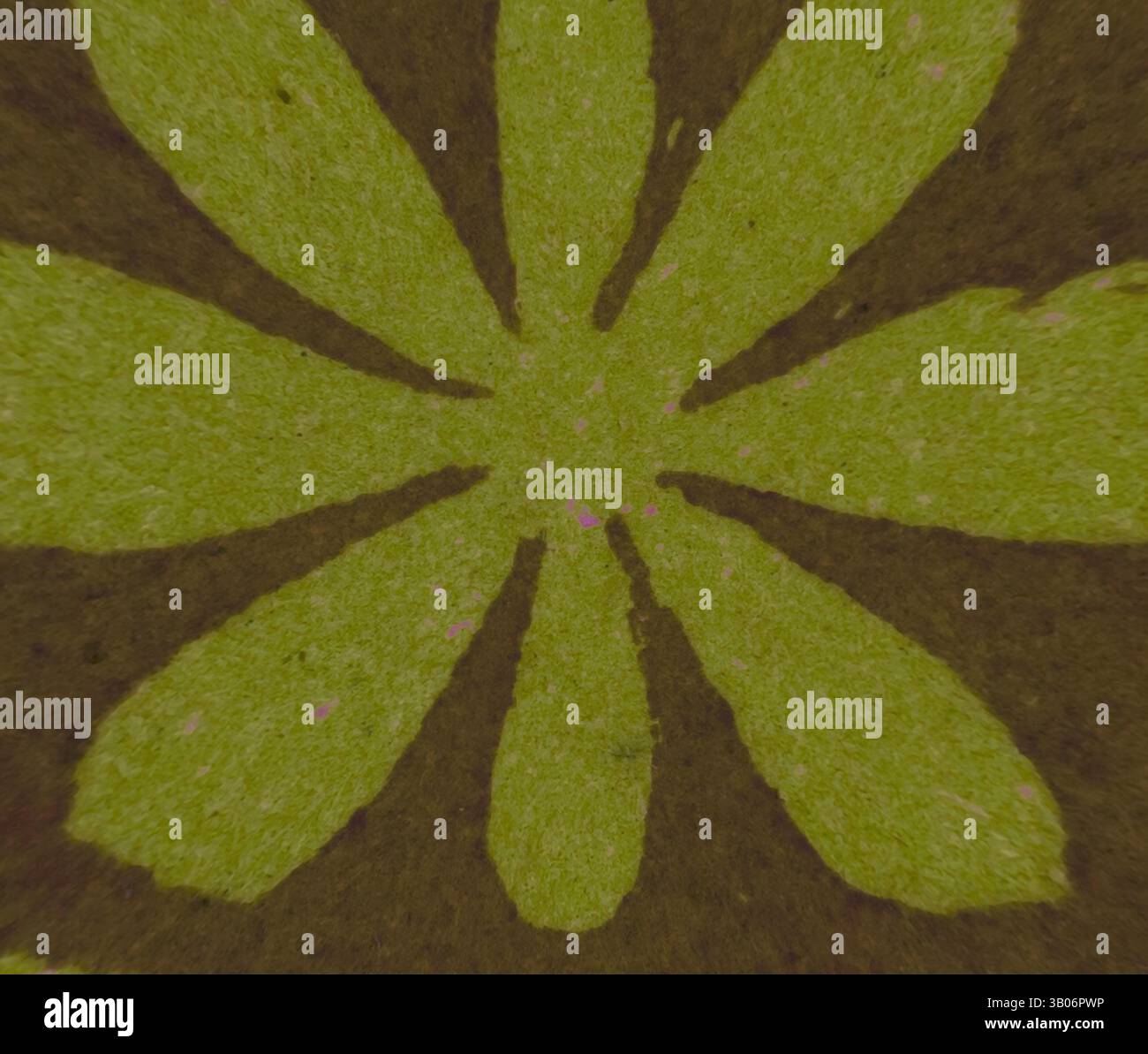 Vue rapprochée d'un motif floral stylisé avec de grandes formes ressemblant à des pétales rayonnant à partir d'un point central, mettant en valeur des teintes vertes vives sur un fond sombre contrasté., un motif circulaire avec une fleur stylisée avec des pétales allongés, sur un fond contrasté. La palette de couleurs est terreuse, créant une sensation naturelle et organique. Art classique avec une touche moderne réinventé par Artotop, transformé Mediæval ornement, art classique avec une touche moderne réinventé par Artotop Banque D'Images