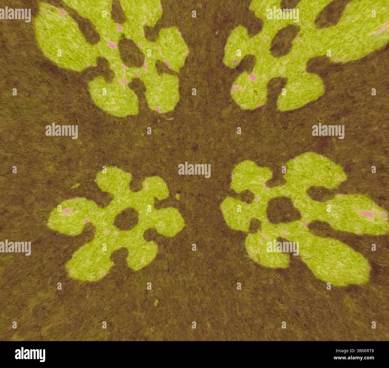 Un motif vibrant de formes abstraites avec des contours audacieux, placé sur un fond texturé qui rehausse leur design frappant., Un design circulaire avec quatre formes de fleurs stylisées disposées symétriquement, placé sur un fond texturé. Les tons terreux améliorent la sensation organique du motif. Art classique avec une touche moderne réinventé par Artotop, transformé Mediæval ornement, art classique avec une touche moderne réinventé par Artotop Banque D'Images