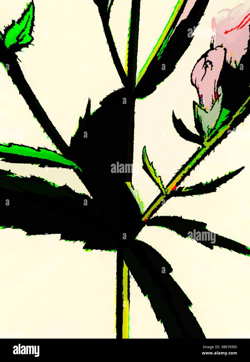 Une vue rapprochée d'une fleur et de feuilles, présentant des détails complexes et des formes contrastées, avec un accent sur l'interaction entre la lumière et l'ombre. Les formes organiques créent un impact visuel frappant., Une représentation stylisée d'une fleur en fleurs avec des pétales délicats, entourés de feuilles minces, sur un fond doux qui améliore son élégance et sa forme. Art classique avec une touche moderne réinventé par Artotop, transformé Bartsia Odontites Red Bartsia, art classique avec une touche moderne réinventé par Artotop Banque D'Images