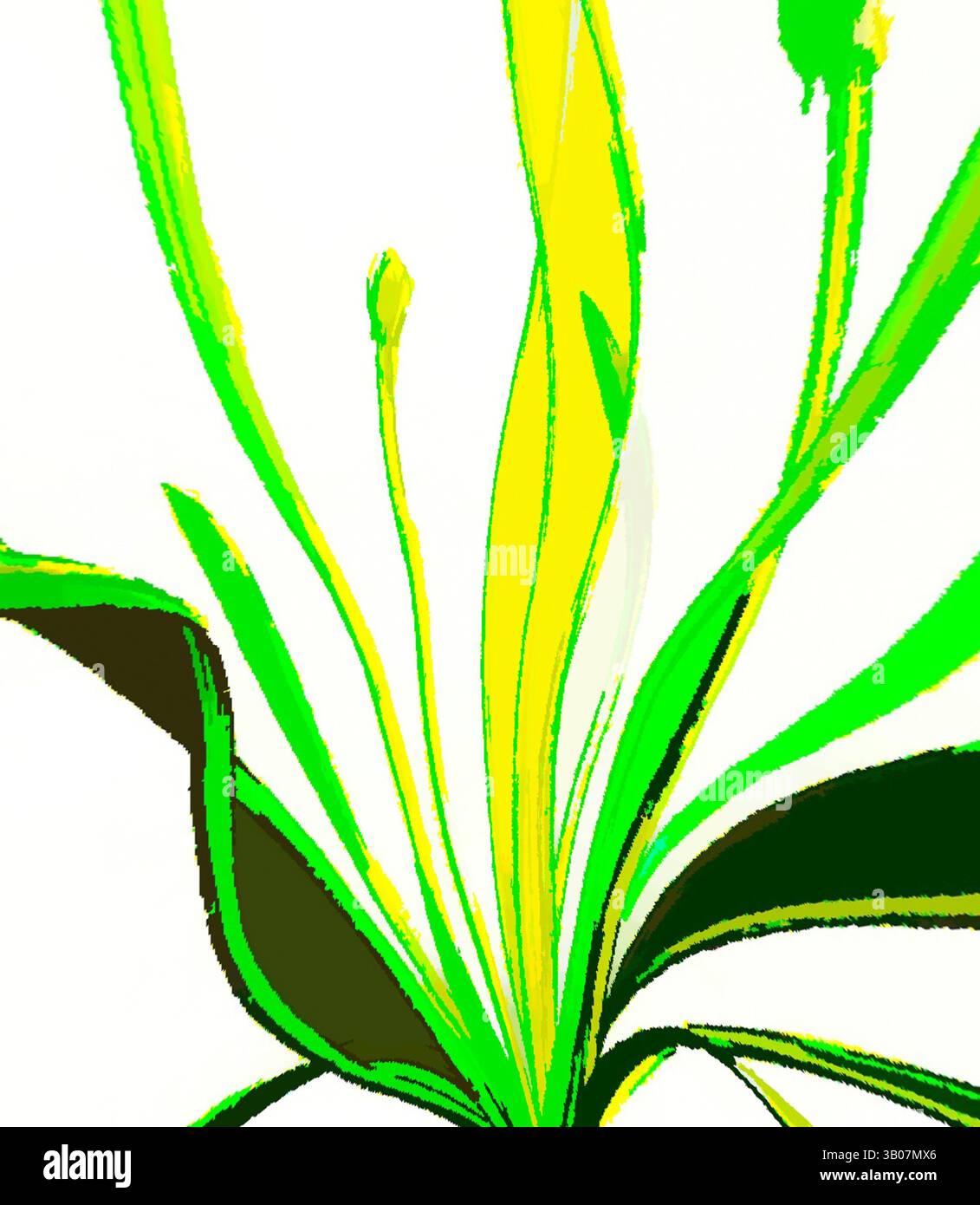 Une explosion de vie végétale verte et jaune vibrante, mettant en valeur des feuilles allongées et des bourgeons délicats atteignant le haut, créant une composition vivante et dynamique., Une plante verte vibrante présente des feuilles minces avec un mélange de tons clairs et sombres, mettant en valeur de nouveaux bourgeons prêts à fleurir. Art classique avec une touche moderne réinventé par Artotop, transformé Myosurus Minimus Common Mouse-Tail, art classique avec une touche moderne réinventé par Artotop Banque D'Images